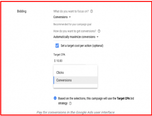 Google algorithm updates and how it concerns your business